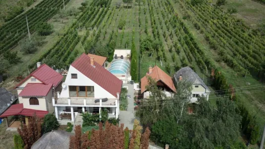 Къща За продажба 99128 Vinica SK
