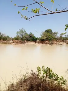 Земя за строителство За продажба 0000 Brikama Gambia  DE