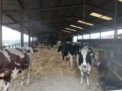Ферма За продажба 54000 GRAFIGNY FR