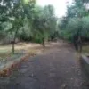 Къща За продажба - 09090 Gonnoscodina (Or) IT Thumbnail 13