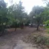 Къща За продажба - 09090 Gonnoscodina (Or) IT Thumbnail 14